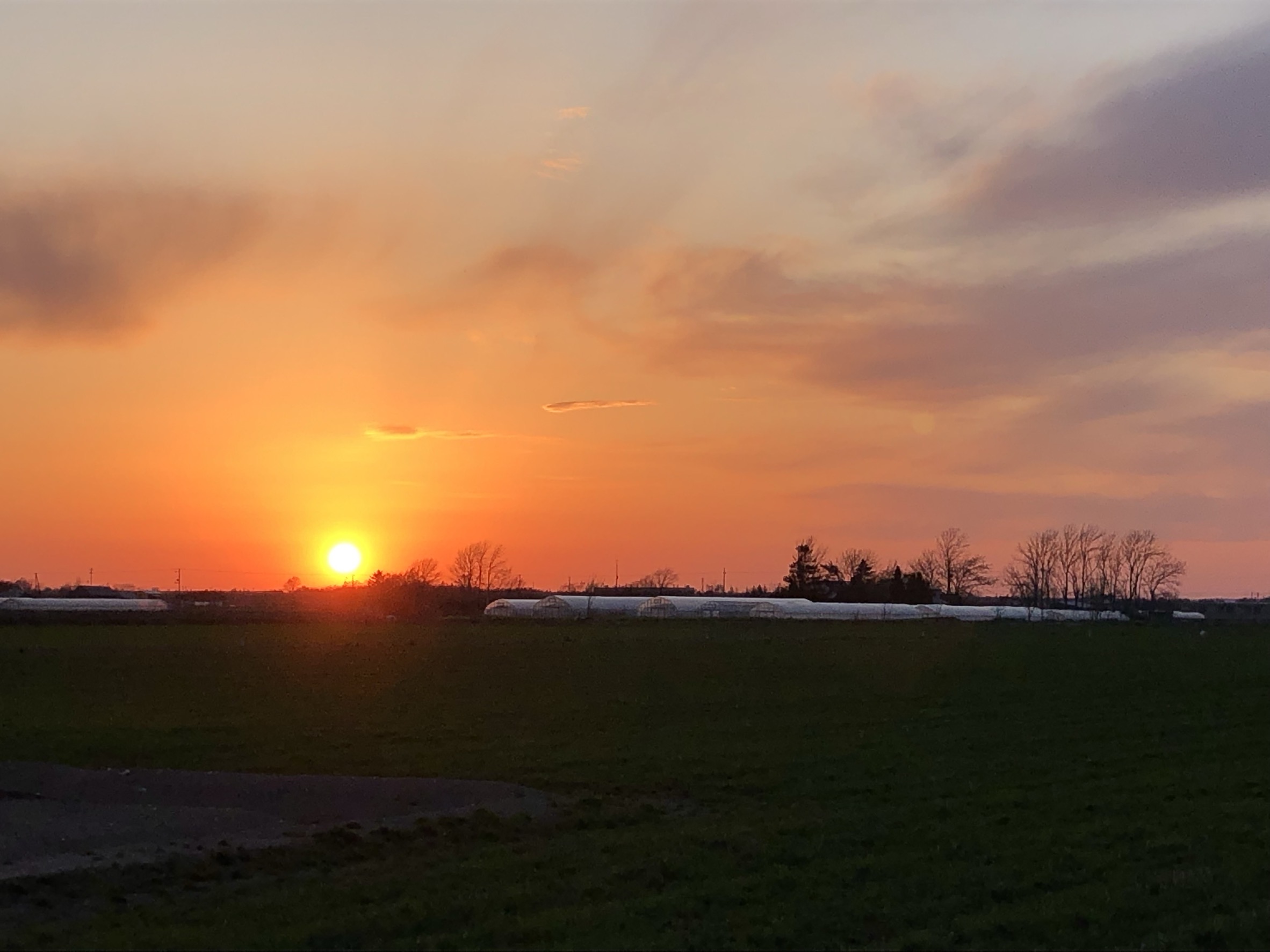事務所から見える風景